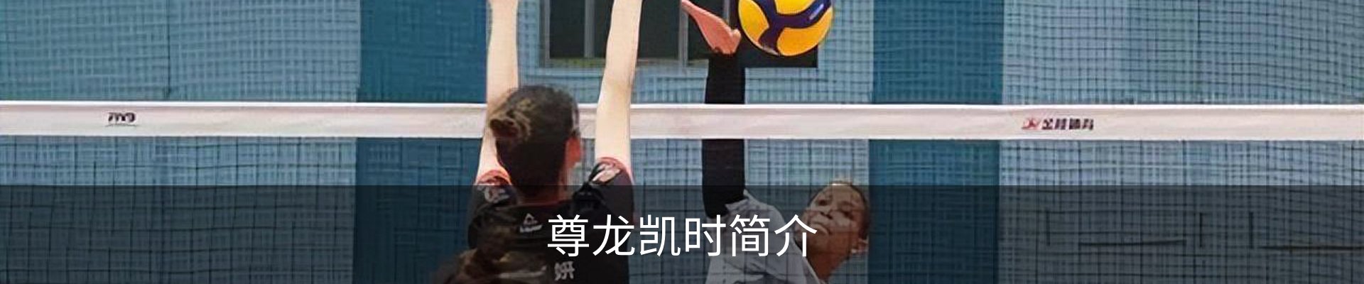 尊龙凯时简介